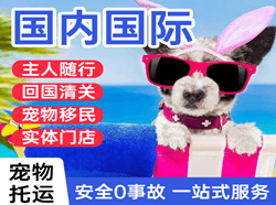 滨海航空邮寄国际宠物托运 【国